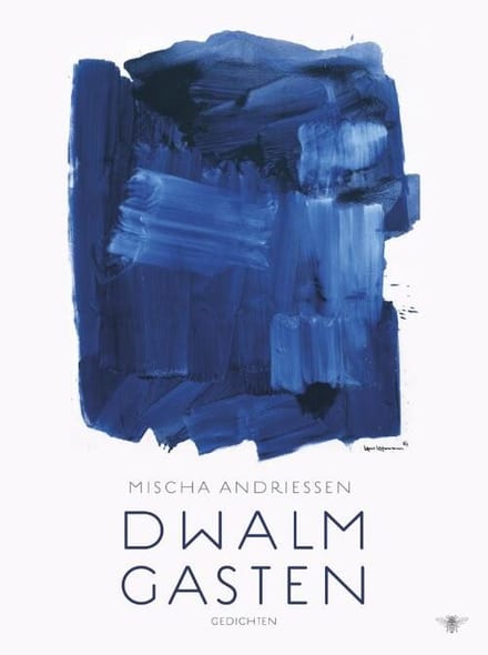 Omslag van Dwalmgasten
