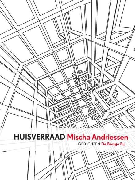 Omslag van Huisverraad