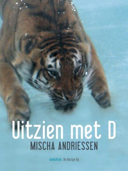 Omslag van Uitzien met D
